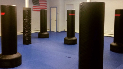 Kai Next Level Mixed Martial Arts (Howard Beach MMA) in Queens City, New York, United States - #2 Photo of Point of interest, Establishment, Health