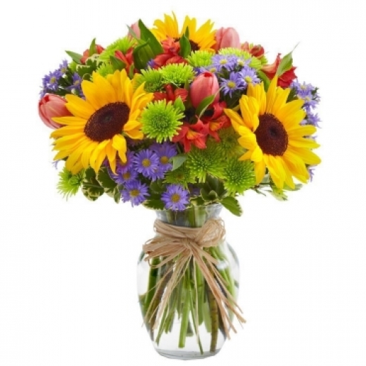 Photo by <br />
<b>Notice</b>:  Undefined index: user in <b>/home/www/activeuser/data/www/vaplace.com/core/views/default/photos.php</b> on line <b>128</b><br />
. Picture for Flowers Vibe Inc. in Uniondale City, New York, United States - Point of interest, Establishment, Store, Florist