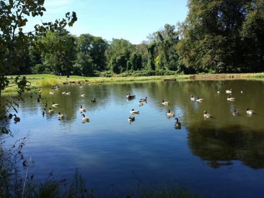 Photo by <br />
<b>Notice</b>:  Undefined index: user in <b>/home/www/activeuser/data/www/vaplace.com/core/views/default/photos.php</b> on line <b>128</b><br />
. Picture for Van Cortlandt Park Golf Course in Bronx City, New York, United States - Point of interest, Establishment, Park