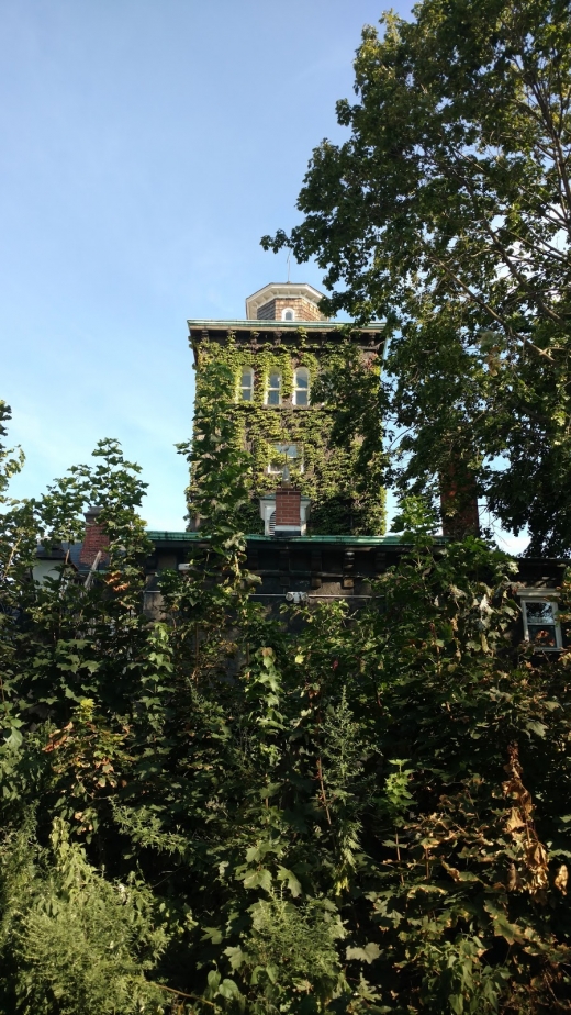 Steinway Mansion in Queens City, New York, United States - #1 Photo of Point of interest, Establishment