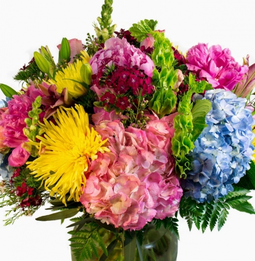 Photo by <br />
<b>Notice</b>:  Undefined index: user in <b>/home/www/activeuser/data/www/vaplace.com/core/views/default/photos.php</b> on line <b>128</b><br />
. Picture for Feldis Florists in Garden City, New York, United States - Point of interest, Establishment, Store, Florist
