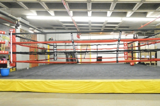 Photo by Starrett City Boxing Club for Starrett City Boxing Club