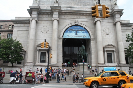 Museo De Ciencias Naturales in New York City, New York, United States - #1 Photo of Point of interest, Establishment, Museum