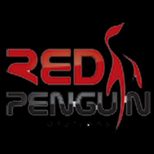 Red Penguin Web Solutions in Floral Park City, New York, United States - #3 Photo of Point of interest, Establishment