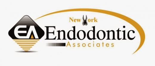 Joseph A. Bruckner, DDS in Roslyn City, New York, United States - #2 Photo of Point of interest, Establishment, Health, Dentist