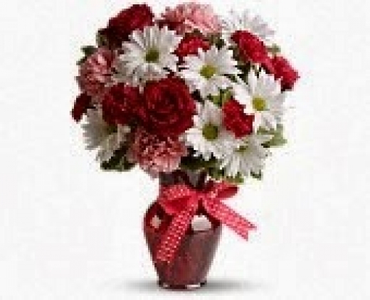 Photo by <br />
<b>Notice</b>:  Undefined index: user in <b>/home/www/activeuser/data/www/vaplace.com/core/views/default/photos.php</b> on line <b>128</b><br />
. Picture for A Touch of Elegance Florist in Belleville City, New Jersey, United States - Point of interest, Establishment, Store, Florist