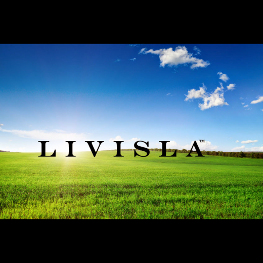 Livisla LLC in Elmwood Park City, New Jersey, United States - #3 Photo of Point of interest, Establishment
