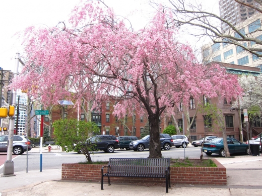 Paulus Hook Park in Jersey City, New Jersey, United States - #3 Photo of Point of interest, Establishment, Park