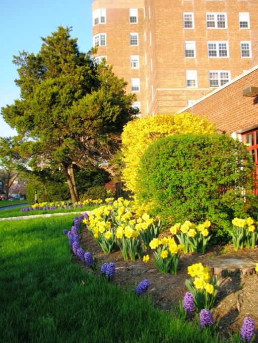 Rockcliffe Apartments in Montclair City, New Jersey, United States - #4 Photo of Point of interest, Establishment