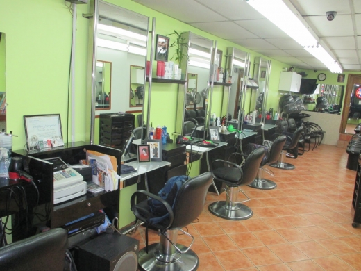 Palisades Hair Design in Yonkers City, New York, United States - #1 Photo of Point of interest, Establishment, Health, Beauty salon, Hair care