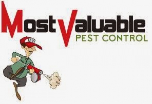 Most Valuable Pest Control in Bronx City, New York, United States - #3 Photo of Point of interest, Establishment, Store, Home goods store