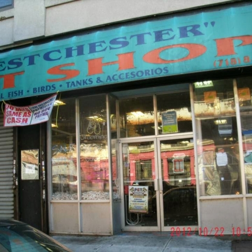 Pet Resources in Bronx City, New York, United States - #1 Photo of Point of interest, Establishment, Store, Pet store