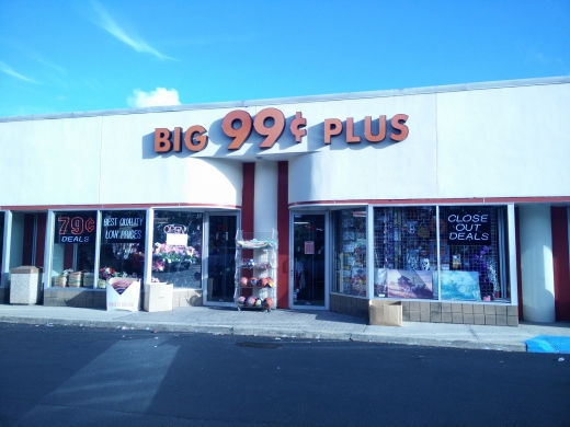 Big 99c & UP in New Hyde Park City, New York, United States - #1 Photo of Point of interest, Establishment, Store