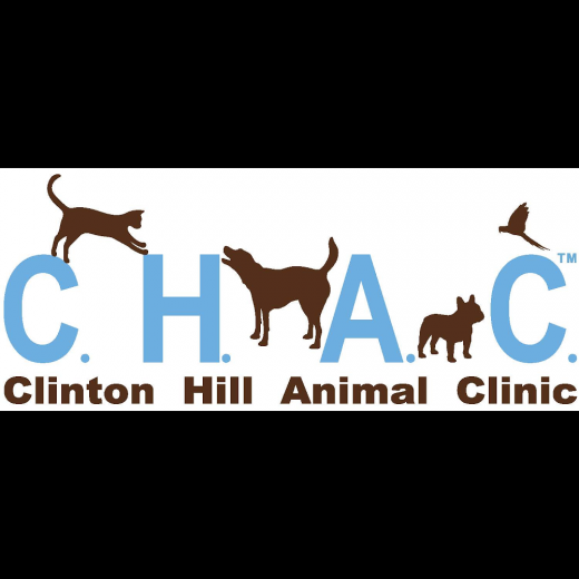 Photo by <br />
<b>Notice</b>:  Undefined index: user in <b>/home/www/activeuser/data/www/vaplace.com/core/views/default/photos.php</b> on line <b>128</b><br />
. Picture for Clinton Hill Animal Clinic in Kings County City, New York, United States - Point of interest, Establishment, Veterinary care