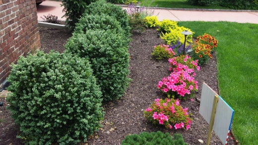 Photo by <br />
<b>Notice</b>:  Undefined index: user in <b>/home/www/activeuser/data/www/vaplace.com/core/views/default/photos.php</b> on line <b>128</b><br />
. Picture for Sarro's Landscaping Corp. in Baldwin City, New York, United States - Point of interest, Establishment, General contractor