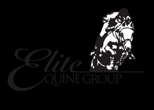 Photo by Elite Equine Group for Elite Equine Group