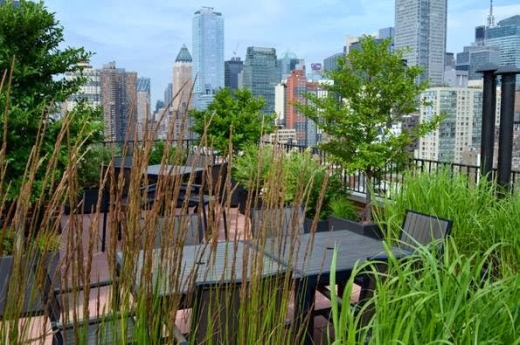 Jeffrey Erb Landscape Design in New York City, New York, United States - #4 Photo of Point of interest, Establishment, General contractor