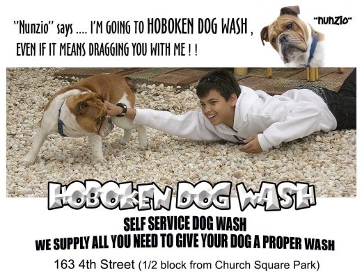 Hoboken Dog Wash in Hoboken City, New Jersey, United States - #4 Photo of Point of interest, Establishment