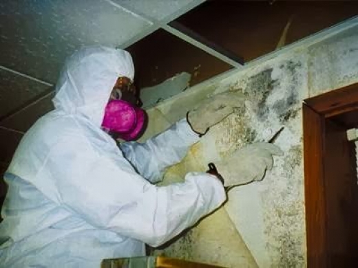 Enviro-Services Mold Removal-Remediation in Hollis City, New York, United States - #4 Photo of Point of interest, Establishment, General contractor