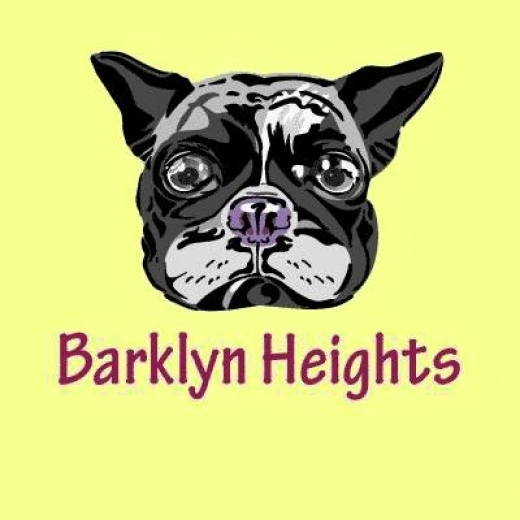 Barklyn Heights Pet Care in Kings County City, New York, United States - #1 Photo of Point of interest, Establishment