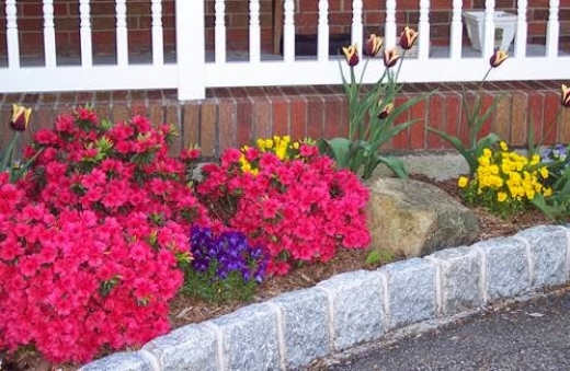 Photo by <br />
<b>Notice</b>:  Undefined index: user in <b>/home/www/activeuser/data/www/vaplace.com/core/views/default/photos.php</b> on line <b>128</b><br />
. Picture for Bianco's Landscaping & Masonry Inc in Staten Island City, New York, United States - Point of interest, Establishment, General contractor