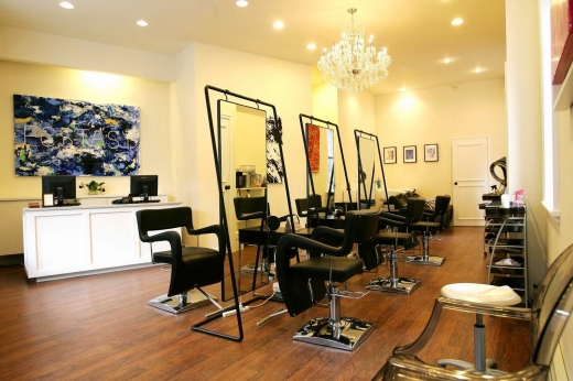 Lotus Salon in New York City, New York, United States - #2 Photo of Point of interest, Establishment, Beauty salon, Hair care