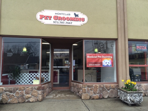 Montclair Pet Grooming in Montclair City, New Jersey, United States - #1 Photo of Point of interest, Establishment