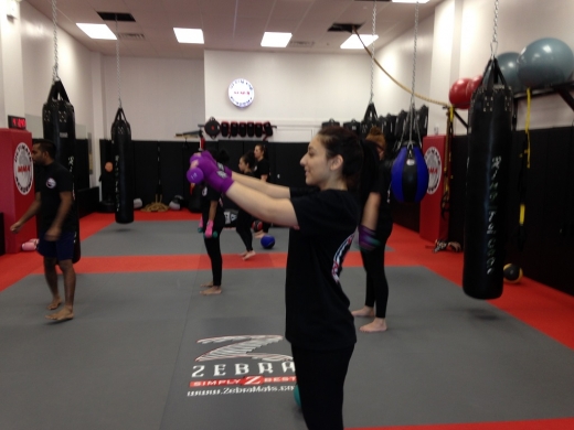 Photo by <br />
<b>Notice</b>:  Undefined index: user in <b>/home/www/activeuser/data/www/vaplace.com/core/views/default/photos.php</b> on line <b>128</b><br />
. Picture for Ultimate MMA Academy in College Point City, New York, United States - Point of interest, Establishment, Health, Gym