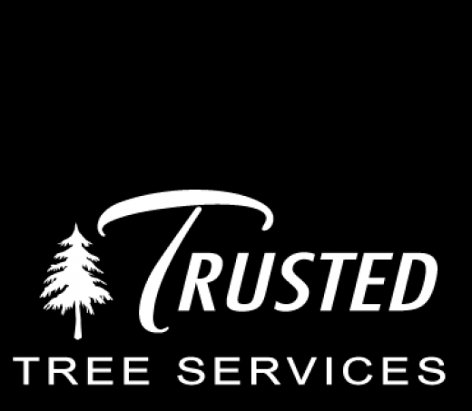 Photo by Trusted Tree Services for Trusted Tree Services