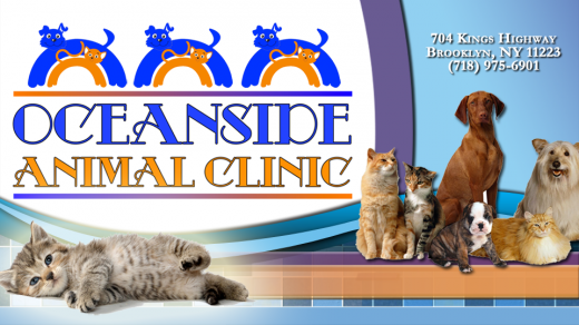 Oceanside Animal Clinic in Kings County City, New York, United States - #2 Photo of Point of interest, Establishment, Store, Health, Pet store, Veterinary care
