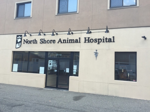 Photo by Harold Toledo for North Shore Animal Hospital