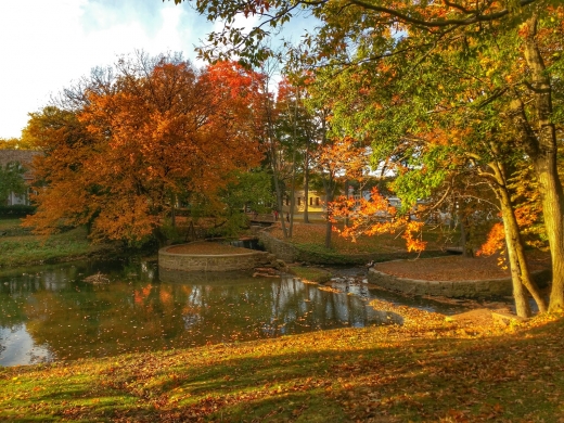 Kingsland Park in Nutley City, New Jersey, United States - #1 Photo of Point of interest, Establishment, Park