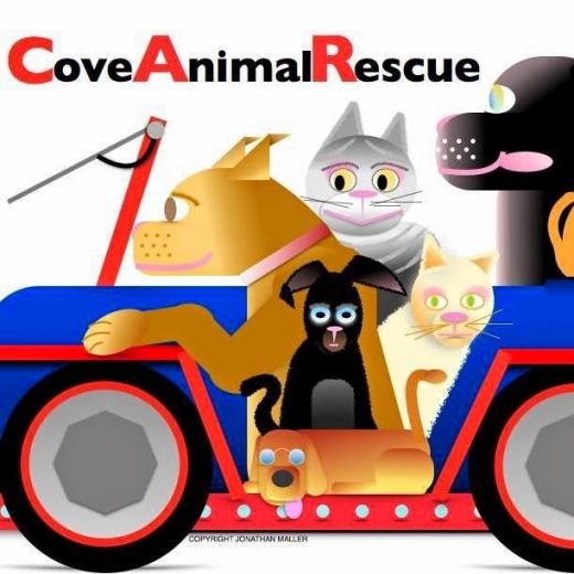 Cove Animal Rescue in Glen Cove City, New York, United States - #1 Photo of Point of interest, Establishment