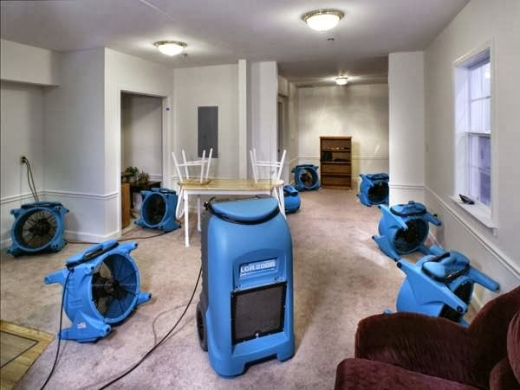 1-800 Water Damage in Wallington City, New Jersey, United States - #1 Photo of Point of interest, Establishment, General contractor