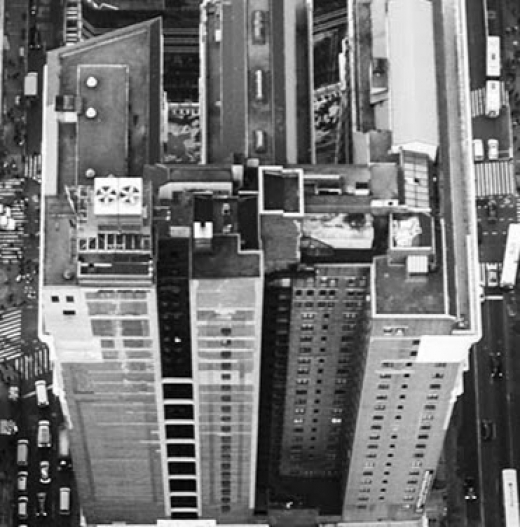 Tinne Teugels, Inc. in New York City, New York, United States - #1 Photo of Point of interest, Establishment