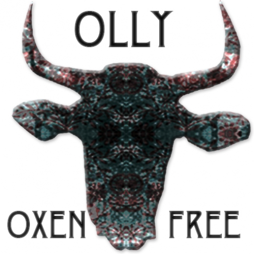 Olly Oxen Free Vintage in Brooklyn City, New York, United States - #3 Photo of Point of interest, Establishment, Store, Home goods store, Clothing store, Furniture store