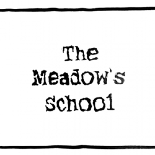 Photo by The Meadow's School for The Meadow's School