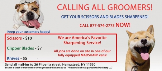 Mad Sharp LLC in Kings County City, New York, United States - #1 Photo of Point of interest, Establishment, Store