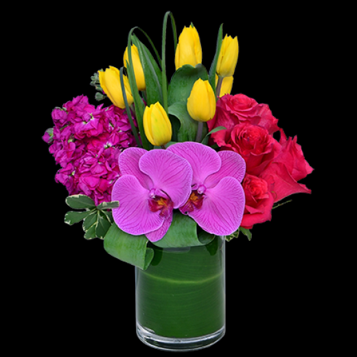 Photo by <br />
<b>Notice</b>:  Undefined index: user in <b>/home/www/activeuser/data/www/vaplace.com/core/views/default/photos.php</b> on line <b>128</b><br />
. Picture for Queens Garden Florist in Whitestone City, New York, United States - Point of interest, Establishment, Store, Florist