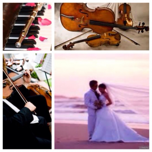 Photo by <br />
<b>Notice</b>:  Undefined index: user in <b>/home/www/activeuser/data/www/vaplace.com/core/views/default/photos.php</b> on line <b>128</b><br />
. Picture for VSmusic4u Wedding Musicians Long Island NY in Westbury City, New York, United States - Point of interest, Establishment