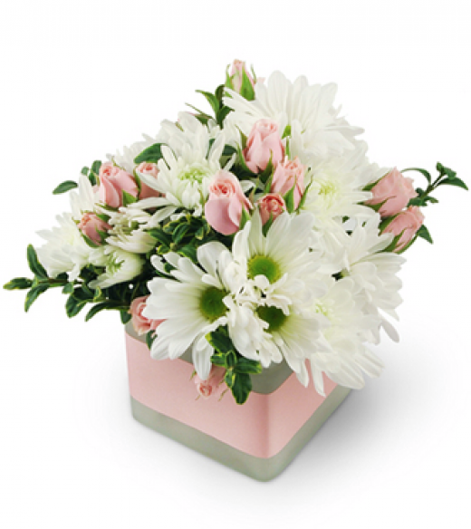 Photo by <br />
<b>Notice</b>:  Undefined index: user in <b>/home/www/activeuser/data/www/vaplace.com/core/views/default/photos.php</b> on line <b>128</b><br />
. Picture for Tuckahoe Florist in Tuckahoe City, New York, United States - Point of interest, Establishment, Store, Florist