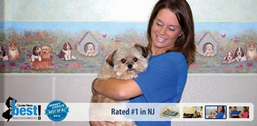 Photo by <br />
<b>Notice</b>:  Undefined index: user in <b>/home/www/activeuser/data/www/vaplace.com/core/views/default/photos.php</b> on line <b>128</b><br />
. Picture for K9 Resorts of Fairfield NJ in Fairfield City, New Jersey, United States - Point of interest, Establishment