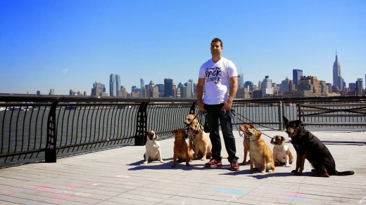 Pack Leader Dogs in Hoboken City, New Jersey, United States - #2 Photo of Point of interest, Establishment