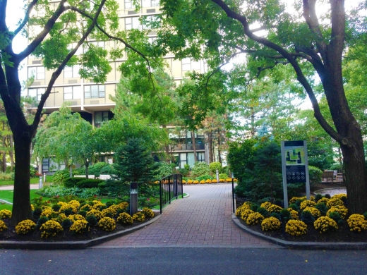 Battery Park Dental in New York City, New York, United States - #2 Photo of Point of interest, Establishment, Health, Doctor, Dentist