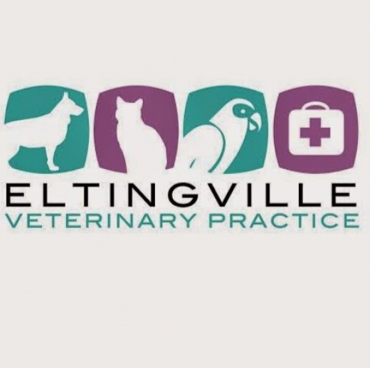 Eltingville Veterinary Practice in Staten Island City, New York, United States - #4 Photo of Point of interest, Establishment, Health, Veterinary care