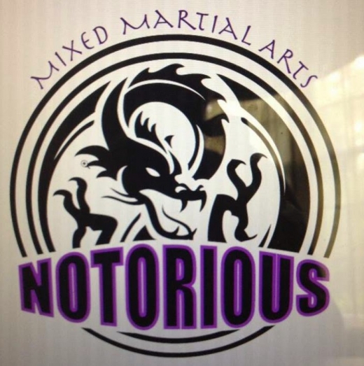 Photo by Notorious Mixed Martial Arts for Notorious Mixed Martial Arts