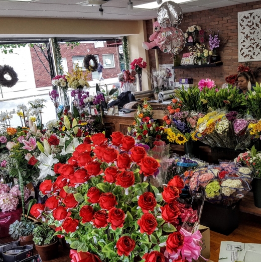 Flowers in Bloom in Harrison City, New Jersey, United States - #1 Photo of Point of interest, Establishment, Store, Florist