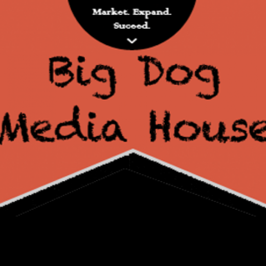 Big Dog Media House in New York City, New York, United States - #1 Photo of Point of interest, Establishment