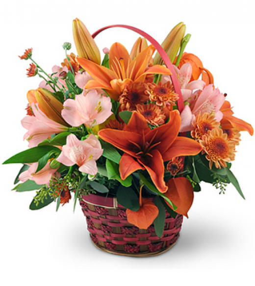 Photo by <br />
<b>Notice</b>:  Undefined index: user in <b>/home/www/activeuser/data/www/vaplace.com/core/views/default/photos.php</b> on line <b>128</b><br />
. Picture for Ariana Florist in Whitestone City, New York, United States - Point of interest, Establishment, Store, Florist