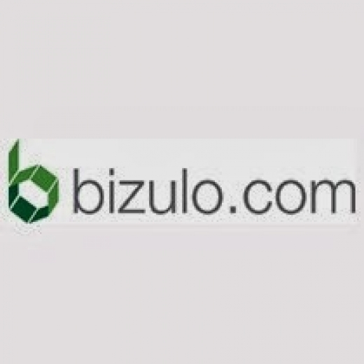 Bizulo Inc. in Fresh Meadows City, New York, United States - #1 Photo of Point of interest, Establishment, Finance